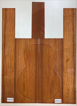 Back & Sides Caribbean Pernambuco Western  - FSC®100% - #003